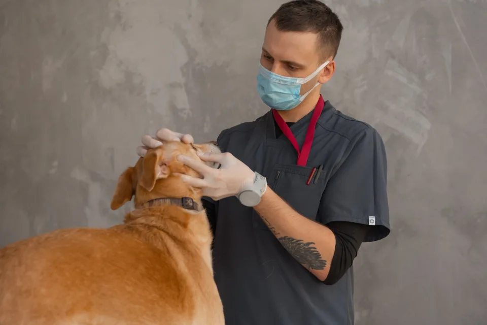 Hình ảnh tại Đại Lý Thuốc Thú Ý Hiền Thảo 2